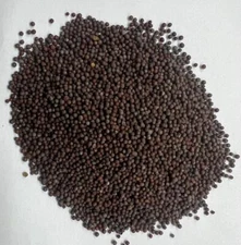 Bulk Brown Mustard Seed, Vegan, Seasoning, Spice (select size below)