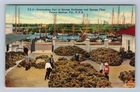 Tarpon Springs FL-Florida Overlooking Part Of Sponge Exchange Vintage Postcard