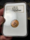 1885 NGC MS65 RD Indian Head Cent Old NGC Fatty Holder