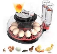 12 Egg Incubator with Automatic Egg Turning and Humidity Control