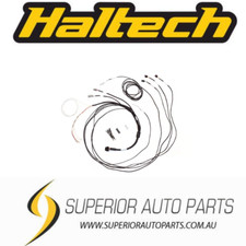 Haltech Semi Terminated Harness for IC-7 Disp...