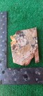 Rough End Cut Dead Camel Jasper 173g. 5/1_" Thick Lapidary Cabbing #A-6 — photo 5