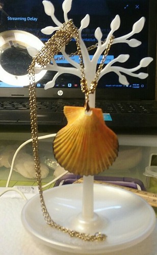 MaryBee Jewelry: 2" Shell Pendant On A 32" Brass Tone Chain 12-01-2020 - Picture 11 of 11