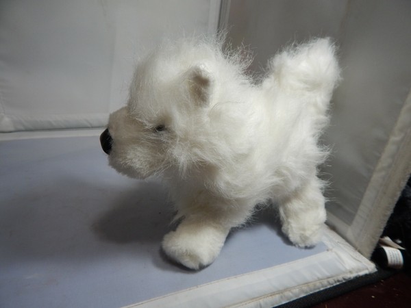 webkinz samoyed