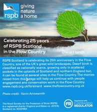 RSPB Pin Badge Special GNaH Dwarf Birch Leaf (2019 Release)