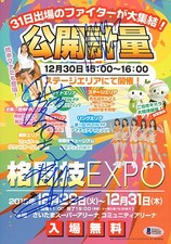 Fedor Emelianenko Kazushi Sakuraba & King Mo Signed Rizin 8.5x11 Fan Expo Poster