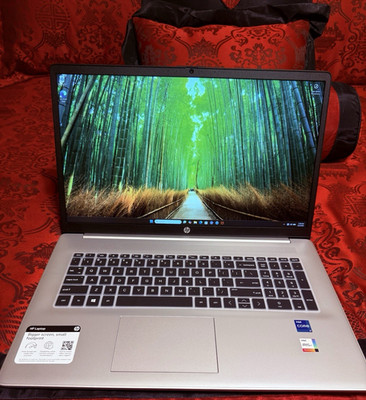 HP  17.3'' HD Laptop i7-1355U 16GB 1TB SSD Iris Xe Win11 Silver