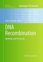 DNA Recombination | Methods And Protocols | Hideo Tsubouchi | Taschenbuch | Xiv