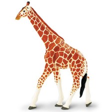 Reticulated Giraffe Wildlife Wonders Figure Safari Ltd NEW IN STOCK
