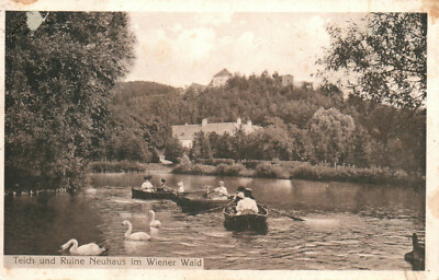  AK* Teich u.Ruine Neuhaus i.Wiener Wald (AB)70239