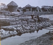 Retting Flax, Courtrai, Belgium, Circa 1910 Magic Lantern Glass Photo Slide