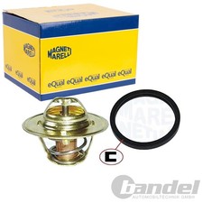 Thermostat Triumph ACCLAIM