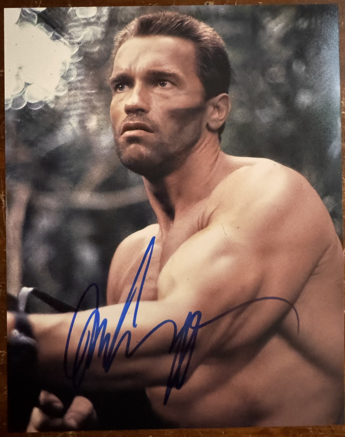 Arnold Schwarzenegger Predator Signed Autographed Signature 8x10 Matte Photo COA