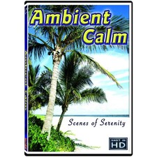 Ambient Calm: 14 serene scènes voor ontspanning, welzijn en stress