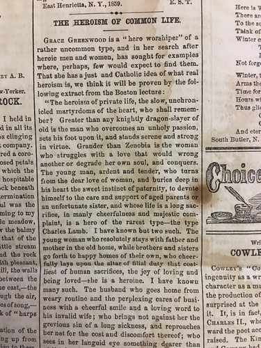 Grape Vine Pruning & Training 1859 Sam Houston Mormon President-Kit Carson - Picture 14 of 19
