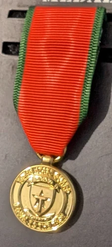 GOLD - TXSG Texas State Guard Miniature CGIA Medal - Moiré Ribbon