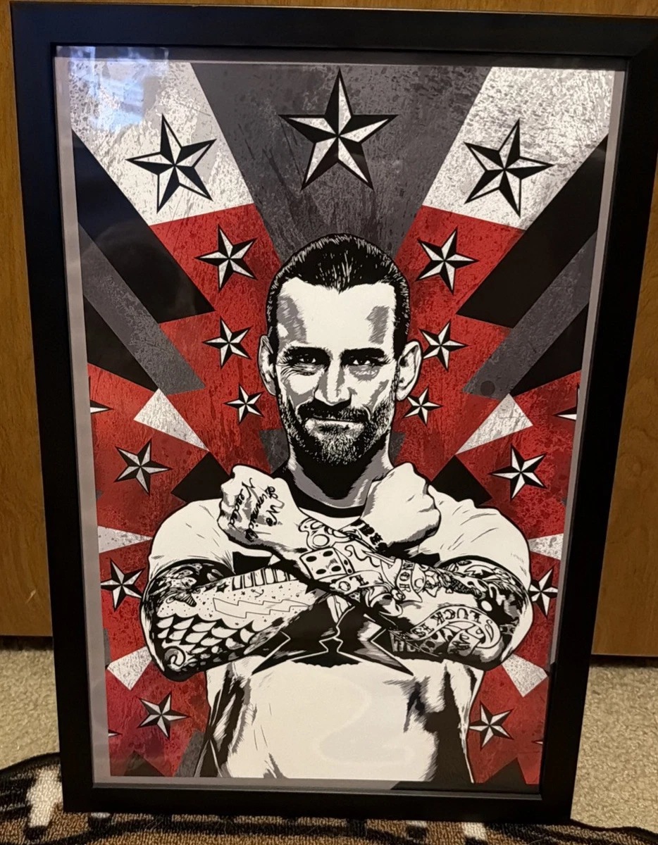 CM Punk WWE Wrestling Original Autographed Photos for sale | eBay