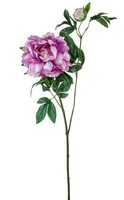 Artplants KüNstlicher Zweig Pfingstrose Zexlin, Lila-Rosa, 70Cm