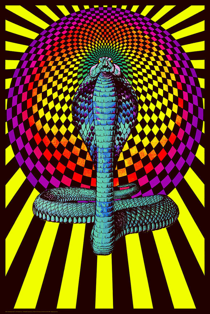 迫力満点‼️COLORFUL　NEON　COBRA ブラックライトポスターです。 SPELLBOUND COBRA - BLACKLIGHT POSTER - 24X36 - PSYCHEDELIC 425 | eBay