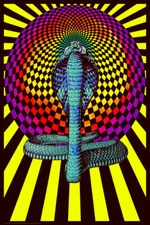 SPELLBOUND COBRA - BLACKLIGHT POSTER - 24X36 - PSYCHEDELIC 425