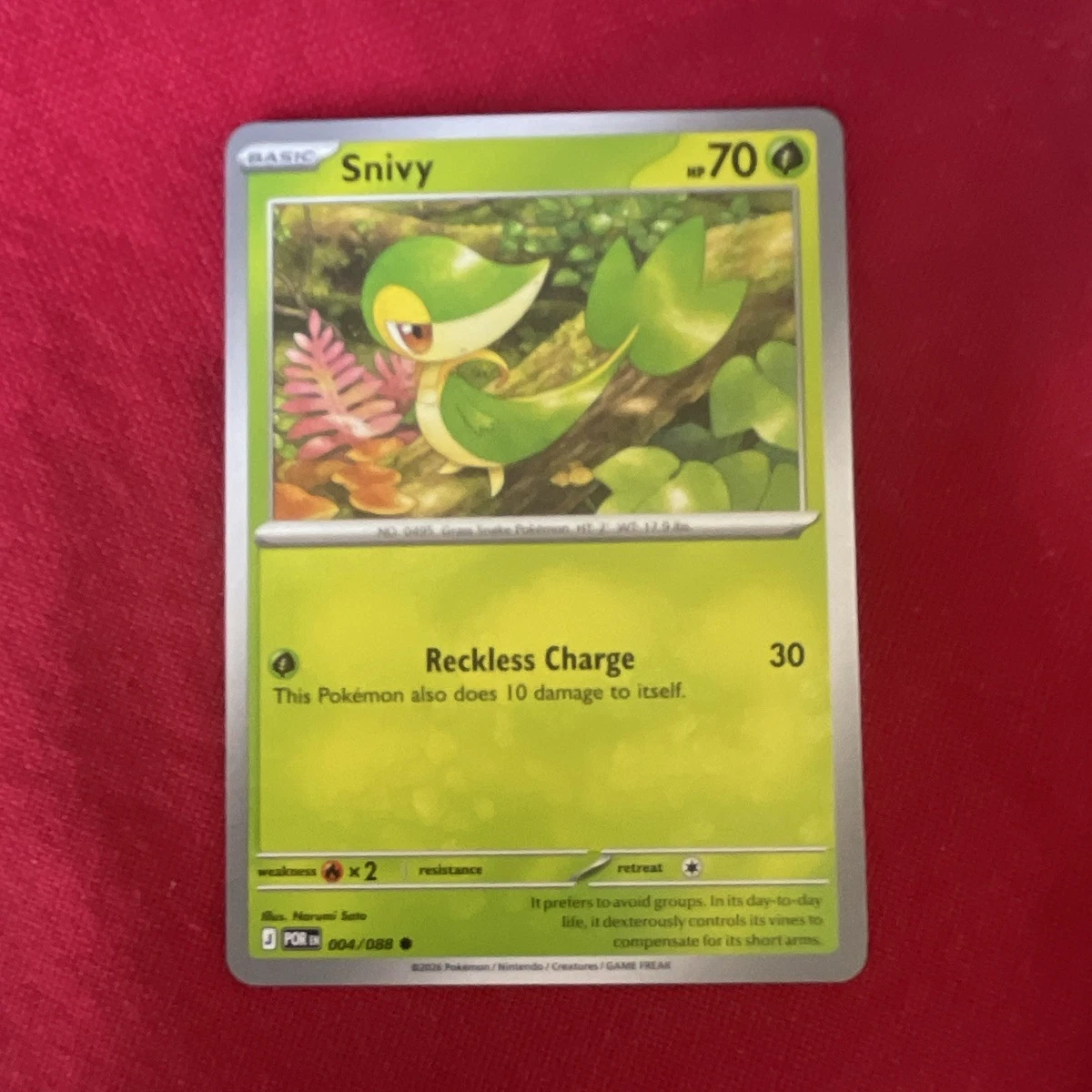 Snivy Pokémon TCG Cards for sale | eBay