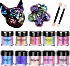 10 Colors Chameleon Mica Powder Color Shift Pigment Powder for Epoxy Resin Paint