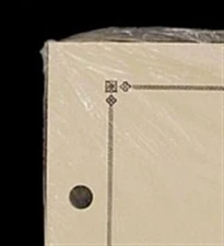 Scott Blank Pages Border C (International) ACC 130 New Pack of 20 Sheets