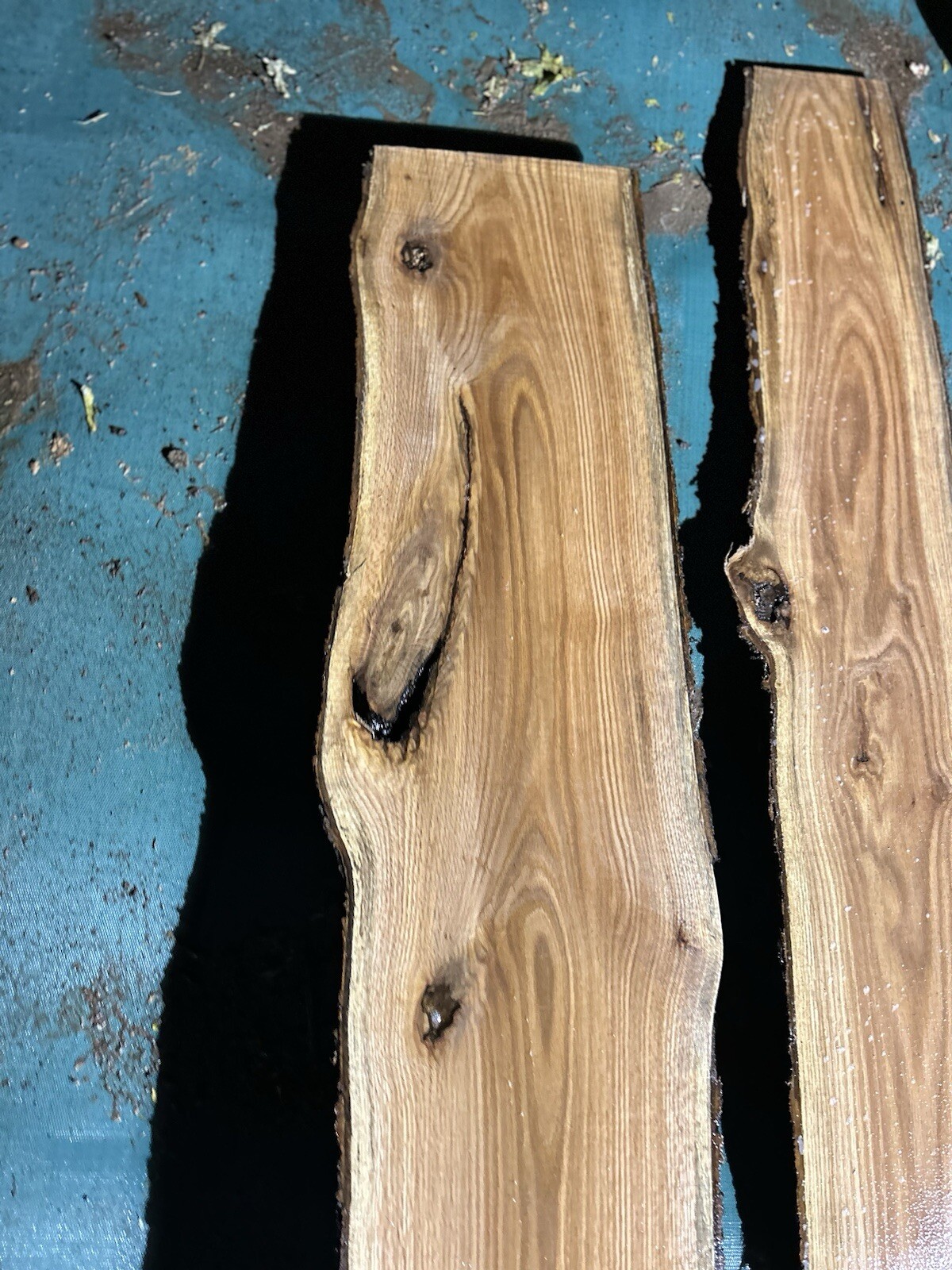 Picture 23 of 24