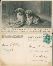 Too Hot Puppy Dogs CW Faulkner 194C GB KEVII 1903 Cancel