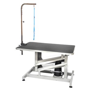 healthiest fruits for dogs