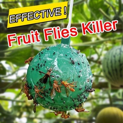 4 PCS Fly Traps Ball Fly Trap Indoor, Hanging Fly Bugs Sticky Ball Outdoor, Gnat
