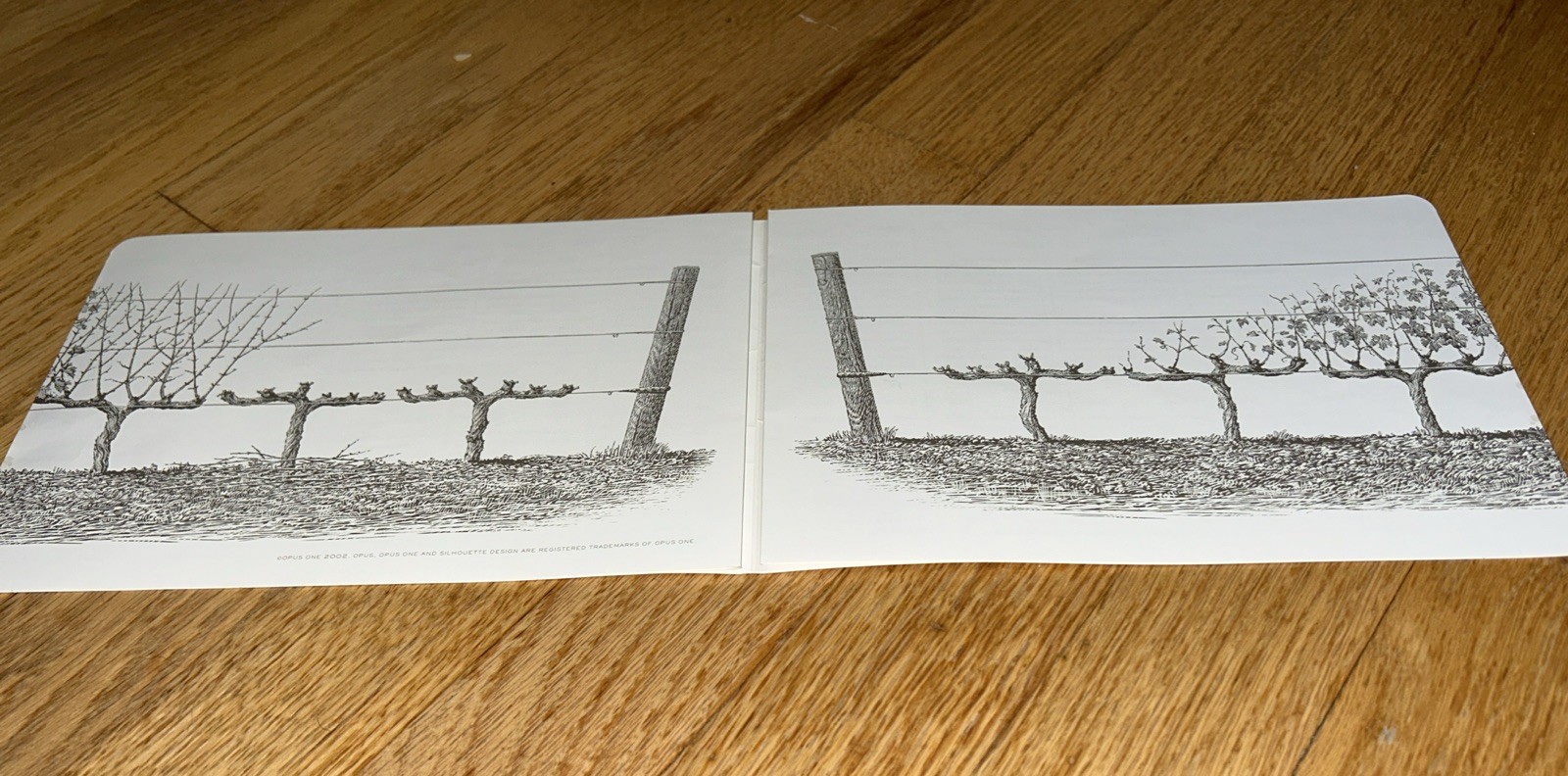 Picture 3 of 8