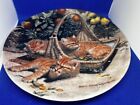 Knowles Amy Brackenbury Tales Flower Bed British Shorthairs Cat Kitten Plate