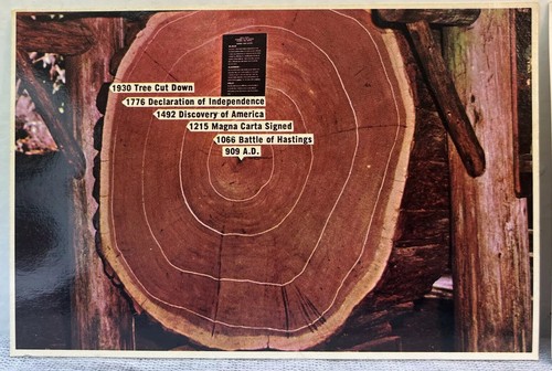 Lot 2 Postcards Redwood Prints For Framing Redcrest California 1984 Coastal - Picture 4 of 6