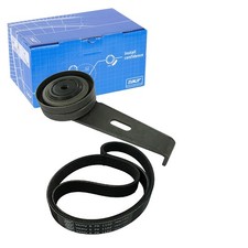 SKF KEILRIPPENRIEMEN-SATZ passend für CITROËN EVASION XANTIA XM FIAT ULYSSE