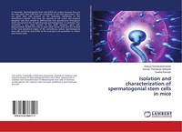 Isolation And Characterization Of Spermatogonial Stem Cells In Mice Kaavya Ramas