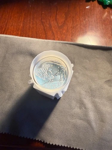 Tube of 20 - 1 oz Silver Rounds 10 Buffalo 10 Indian Head .999 silver