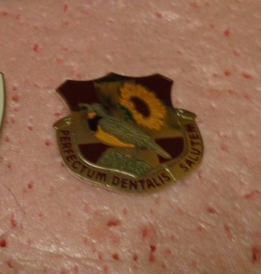 Fort Riley Crest U.S.ARMY CREST, DI.ARMY DENTAL HEALTH ACTIVITY, FT RILEY KANSAS | eBay