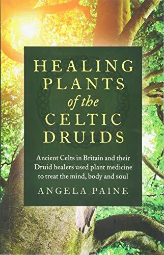 Healing Plants of the Celtic Druids: Ancient Ce. Angela-Paine** - Image 4