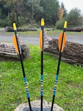 Nightfall Arrows by Rose City Archery, 5/16 40-45# (ONE DOZEN)