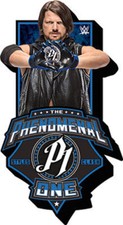 * AJ STLYES WITH LOGO WWE FUNKY CHUNKY MAGNET BY AQUARIUS*