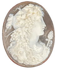 Beautiful Hand Carved Shell Cameo w/ Ornately Detailed Lady & Lions Head 1 1/2