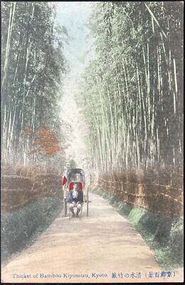 KYOTO, JAPAN. C.1908 PC.(M43)~VIEW OF THICKET OF BAMBOO KIYOMIZU