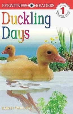 DK Readers: Duckling Days (Level 1: - Paperback, by Wallace Karen - Very Good c