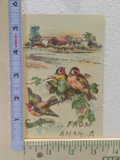 Postcard Greetings with Birds Leaves Embossed Art Print