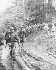 Marines march through jungle World War II WWII WW2 8x10 Photo 135c
