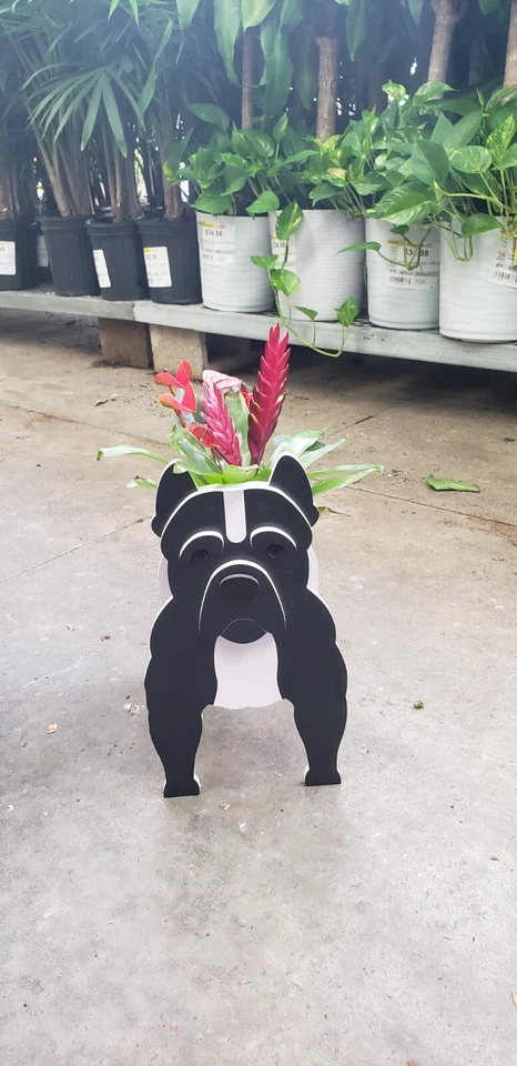 F/S Nuevo Maceta Pit Bull Perro Nariz Azul 3D Pitty Durable Jardín Patio Foto 3 de 3