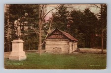 NY-New York Gorge Mary Jamison Monument Letchworth Park Vintage Postcard Post