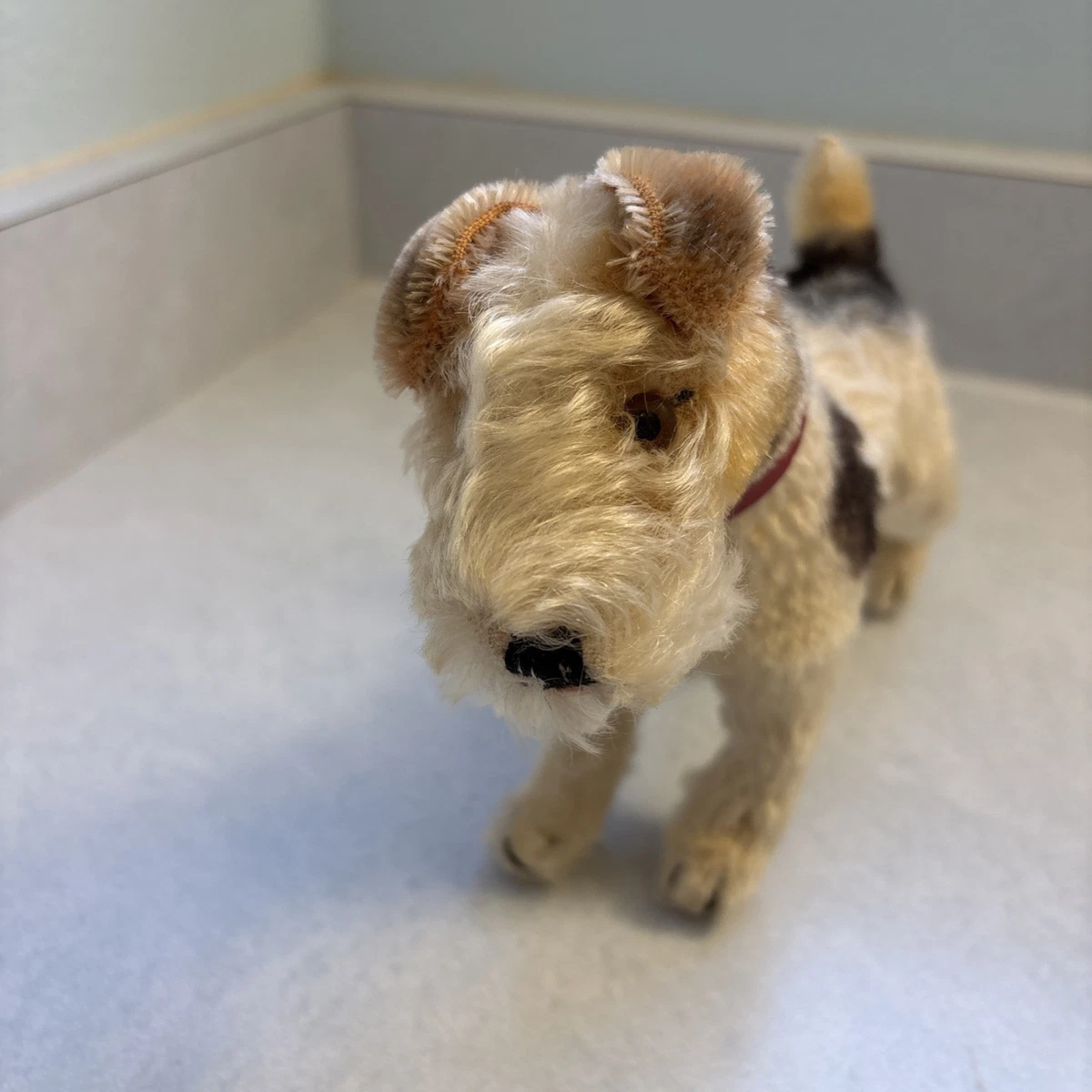 シュタイフ　小さなテリア　ビンテージ1950年代 Steiff Terrier In Steiff Stuffed Animals (1946-1969) for sale | eBay