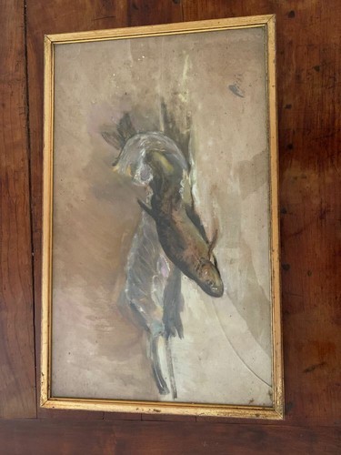 Pisis Fisch am Fischbank - Bild 1 von 8